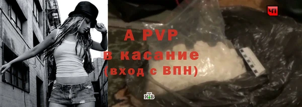 СК Алексин