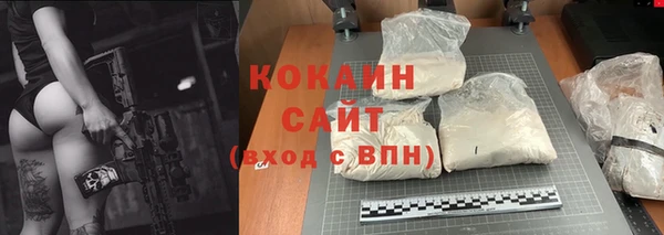 СК Алексин
