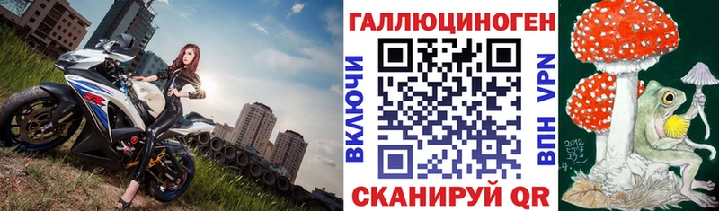 кракен ссылки Краснообск Псилоцибиновые грибы прущие грибы